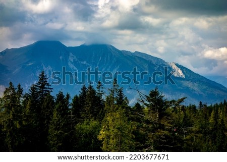 View of the Belianske Tatras from the observation tower in Bachledova valley in Slovakia