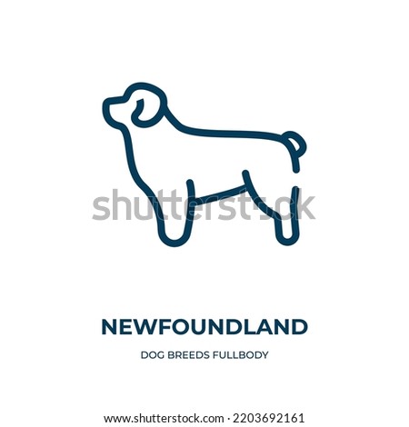 Newfoundland icon. Linear vector illustration from dog breeds fullbody collection. Outline newfoundland icon vector. Thin line symbol for use on web and mobile apps, logo, print media.