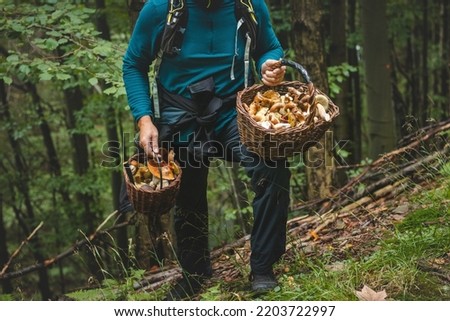 Man in outdoor clothing holds a basket full of mushrooms, mainly Boletus edulis from the autumn forest. September and October. Finding and collecting mushrooms. Royalty-Free Stock Photo #2203722997