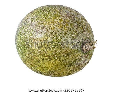 Aegle Marmelos bael fruits or wood apple fruit (bel patthar) on a white background