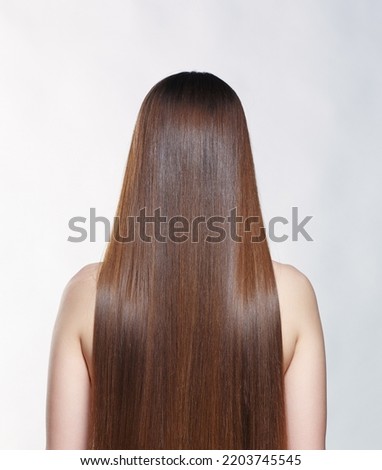 A woman from the back with very long brown hair. Royalty-Free Stock Photo #2203745545