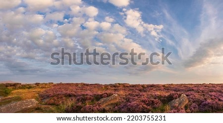 Stunning late Summer sunrise in Peak District over fields of heather in full bloom around Higger Tor and Burbage Edge Royalty-Free Stock Photo #2203755231