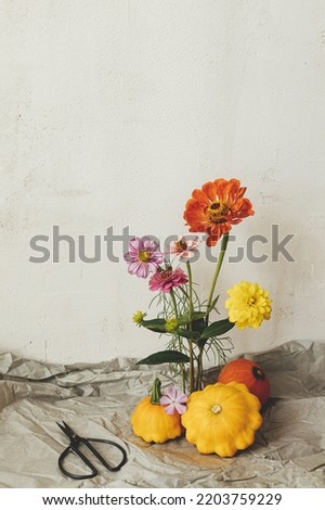 Autumn still life. Pumpkins , scissors and  autumn flowers on flower frog composition on rustic paper in modern room. Hello fall. Happy Thanksgiving card. Creative simple still life
