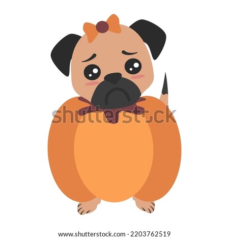 cute cartoon character pug puppy inside pumpkin costume funny holiday season vector illustration isolated on white background
