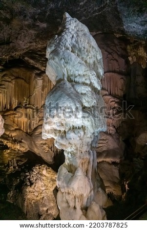 Vertical picture of a giant white stalagmite inside Postojna cave in Slovenia. 