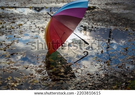 multi-colored umbrella stands in puddle strewn with autumn leaves on asphalt road, illuminated by backlight of sun. autumn atmosphere. symbol of rainy season, wet windy changeable weather Royalty-Free Stock Photo #2203810615