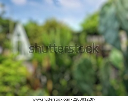 flower garden blur photo in the afternoon