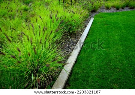 flowerbed with ornamental grasses dry leaves in the autumn sun shines yellow bunches of leaves. in the background bushes and a living area of ​​hornbeam. brown leaves lawn, sidewalk stone, sandstone
