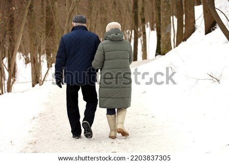 Elderly woman and man walking in winter park, rear view. Old couple in warm clothes during snow weather, concept of old age Royalty-Free Stock Photo #2203837305