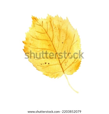 Watercolor realistic botanical set of autumn leaves