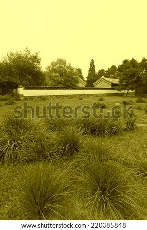 closeup of picture, lawn and trees in a park, north china