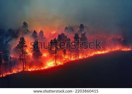 Forest fire at night. Natural disaster Royalty-Free Stock Photo #2203860415