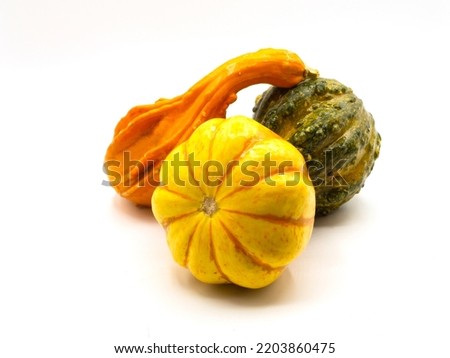 Still Life of decorative autumn gourds and mini pumpkin isolated on white Royalty-Free Stock Photo #2203860475