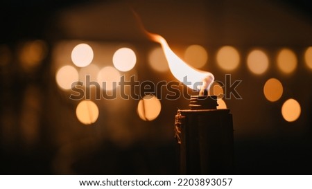 Row of bamboo Torches flaming at night. Bamboo torch closeup. Royalty-Free Stock Photo #2203893057