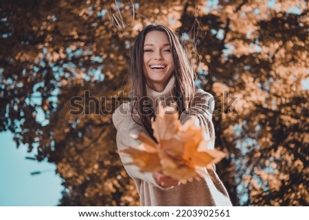 Photo of cheerful cute nice lady wear trendy cozy sweater hold dry leaves give you look camera beaming smile enjoy atmosphere outdoors