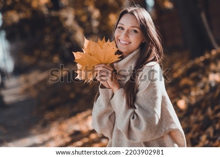 Portrait of satisfied romantic lovely lady dressed trendy cozy jumper pullover clothes hand hold dry tree leaf enjoy sunny day outdoors Royalty-Free Stock Photo #2203902981