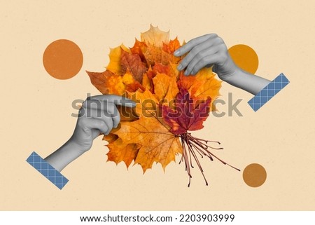 Creative 3d photo artwork graphics collage of hands holding bunch autumn golden orange maple leaves herbarium florist collection hobby Royalty-Free Stock Photo #2203903999