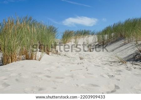 Rippled sand background, dune in Slowinski National Park, Leba, Poland. Beautiful scenery of sand dunes.
