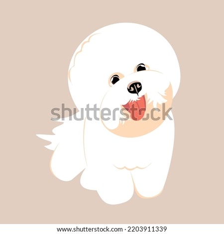 White bichon frise, cute dog isolated on color background. Trendy hand-drawn vector flat cartoon illustration.