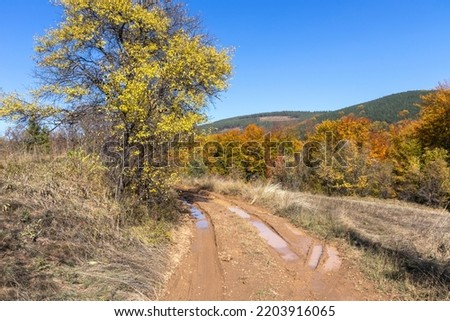 Amazing Autumn Landscape of Erul mountain, Pernik Region, Bulgaria