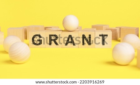 text GRANT on wooden cubes. bright yellow surface. wooden sphere balls among the wood cubes, different and position in niche market concept.