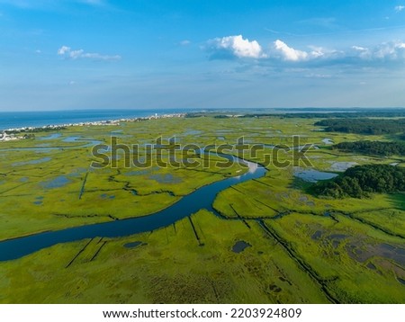aerial view of town at sea coast near swamp