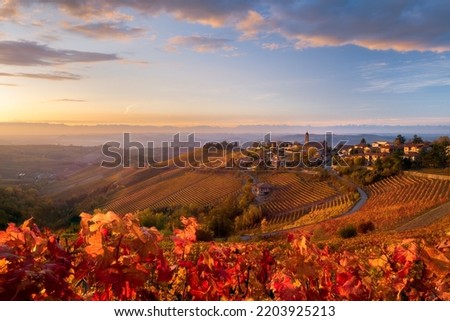 view of Treiso in Autumn, Langhe, Piedmont, Italy Royalty-Free Stock Photo #2203925213