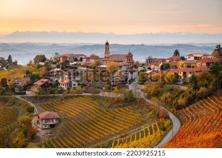 view of Treiso in Autumn, Langhe, Piedmont, Italy Royalty-Free Stock Photo #2203925215