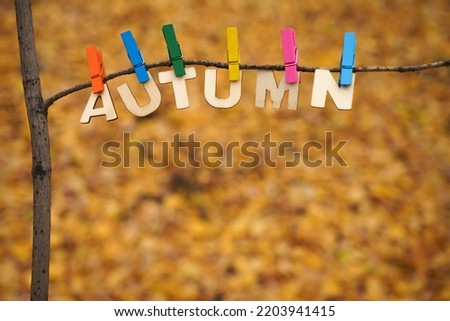 wooden letters hanging on branch with pins . Sign, idea, symbol, concept of autumn, fall  season.