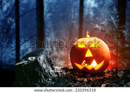Halloween pumpkin with candle in dark forest