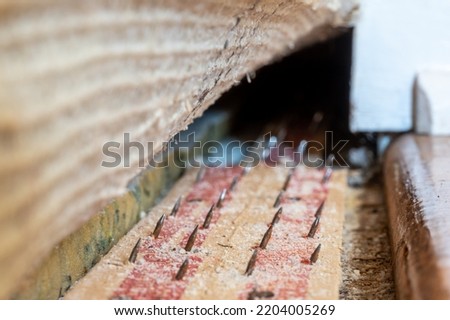 Carpet tack strip exposed during a flooring home improvement project