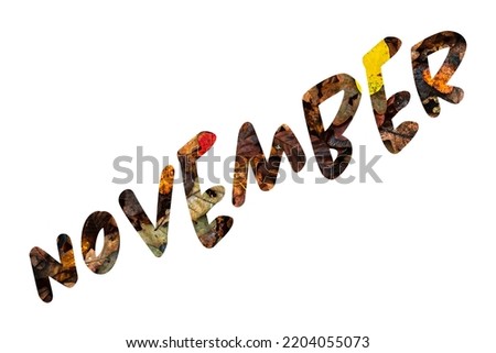 the word November written on a background of colorful autumn leaves