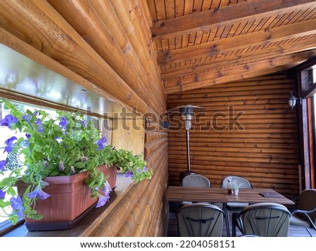 Flowers on the window on the wooden wall. Shutter Window on  Wooden Wall. Flowers in Pot.