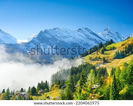 A village in Switzerland. A sunny day and a mountain valley. Houses against a mountain backdrop. Meadow and forest in mountains. High resolution photograph.