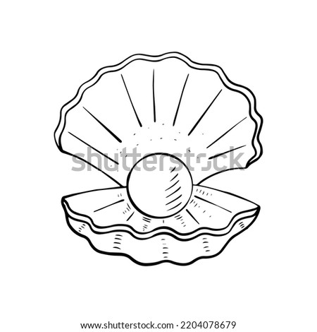 Seashell with pearl, on a white background. Linear drawing.