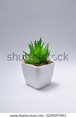 plastic plants in pots for home decoration