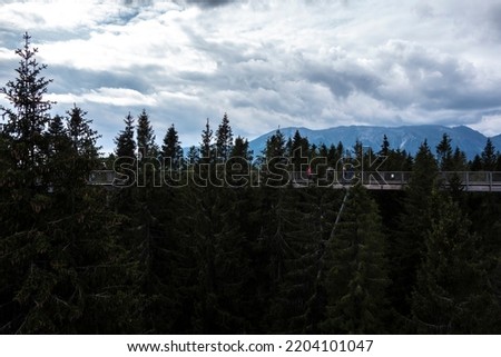 Wooden walkway in mountain forest built near the top of trees