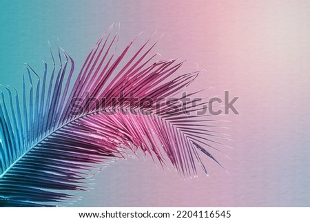 Tropical and palm leaves in vibrant gradient background. Trendy neon colors minimalist style. Royalty-Free Stock Photo #2204116545
