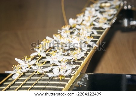 Flowers on a guitar fingerboard. Flowers with musical instrument. Spring flowers