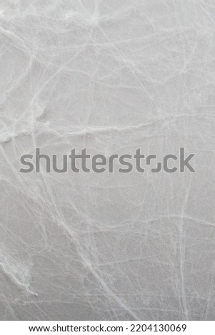 spider web on an gray background. halloween concept. copy space