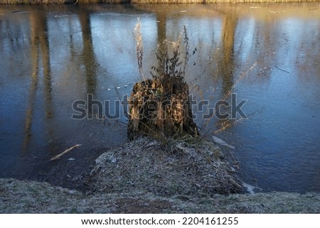 Wuhle River with snowy banks in January. Berlin, Germany