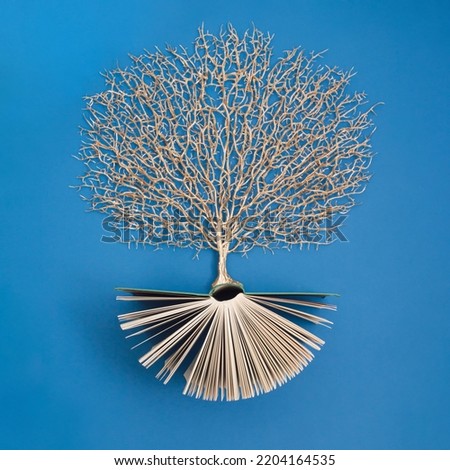 Golden tree growing from the old book, Education and knowledge concept. For book lovers. Flat lay. Royalty-Free Stock Photo #2204164535