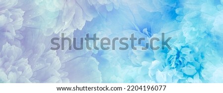 Peony flowers and peony petals after rain.    Floral background.  Close-up. Nature. Royalty-Free Stock Photo #2204196077