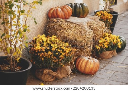 Pumpkins with  flowers and rustic hay decoration outdoors. Stylish autumn decor of exterior building. Pumpkins with rural decor on haystack in street Royalty-Free Stock Photo #2204200133