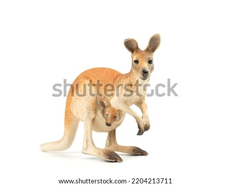 Australian kangaroo on White Background Royalty-Free Stock Photo #2204213711