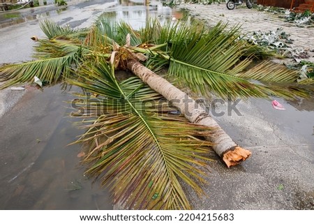 29.09.2022 Consequences of Hurricane Fiona. Dominican Republic. Punta cana. Royalty-Free Stock Photo #2204215683