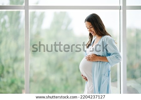 Portrait of young pregnant woman standing near window holding hands on her belly at modern home with copy space. Pregnancy, motherhood, expectation and tenderness concept Royalty-Free Stock Photo #2204237127