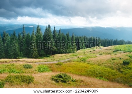 Carpathian mountains moody weather landscape. Green hill meadow, pine tree forest and cloudy sky. Amazing nature scenery in mountain valley. Beautiful nature landscape. Travel, adventure concept image Royalty-Free Stock Photo #2204249009