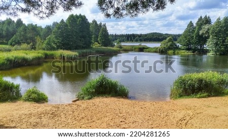 The branches of a pine tree overhang the sandy shore of the lake. A forest grows along the shores. Reeds grow in the water along the shores. There are ripples on the water. The weather is sunny Royalty-Free Stock Photo #2204281265