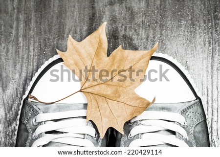 Studio shot of a pair of sneakers with an autumn leaf on wooden background.
